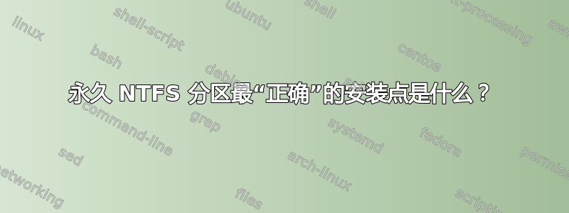 永久 NTFS 分区最“正确”的安装点是什么？