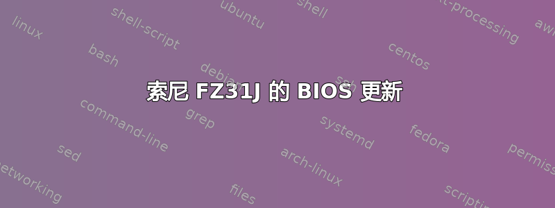 索尼 FZ31J 的 BIOS 更新