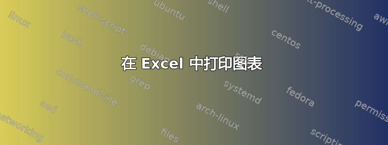 在 Excel 中打印图表