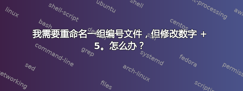 我需要重命名一组编号文件，但修改数字 + 5。怎么办？