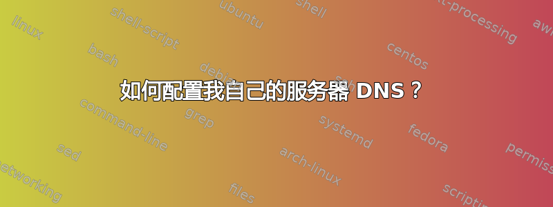 如何配置我自己的服务器 DNS？