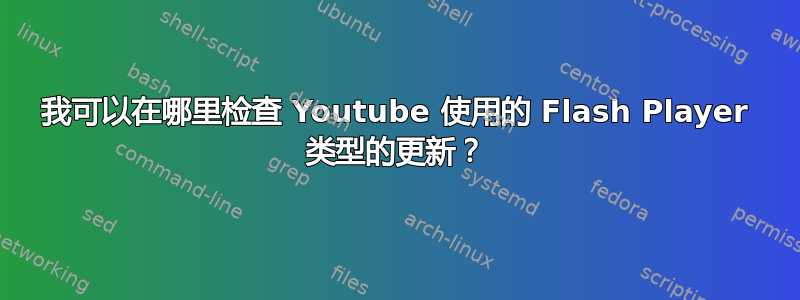 我可以在哪里检查 Youtube 使用的 Flash Player 类型的更新？