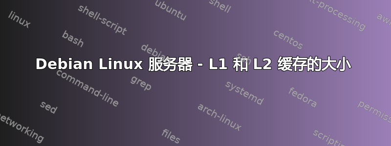 Debian Linux 服务器 - L1 和 L2 缓存的大小