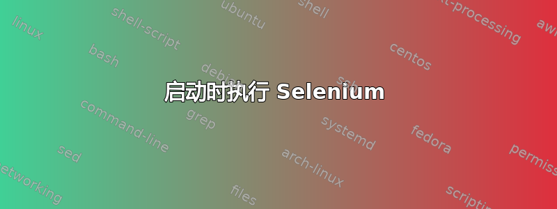 启动时执行 Selenium