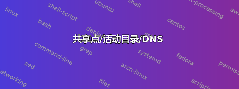 共享点/活动目录/DNS