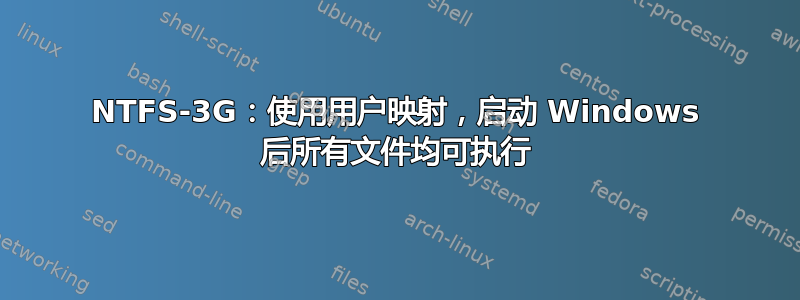 NTFS-3G：使用用户映射，启动 Windows 后所有文件均可执行