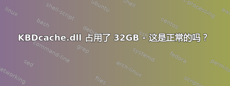 KBDcache.dll 占用了 32GB - 这是正常的吗？