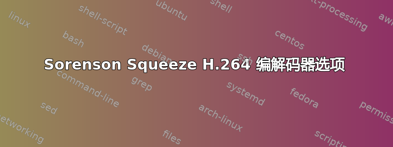 Sorenson Squeeze H.264 编解码器选项