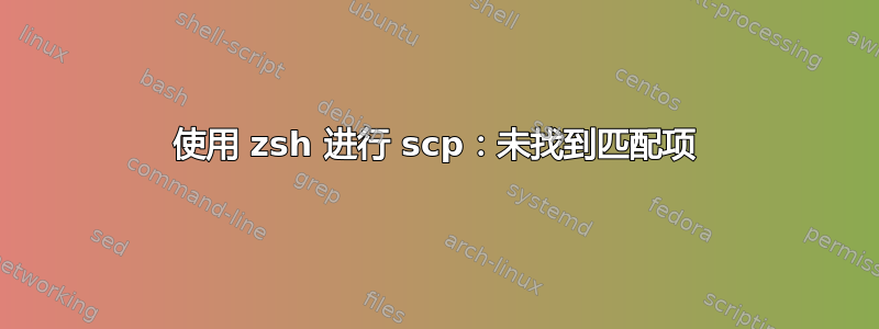 使用 zsh 进行 scp：未找到匹配项