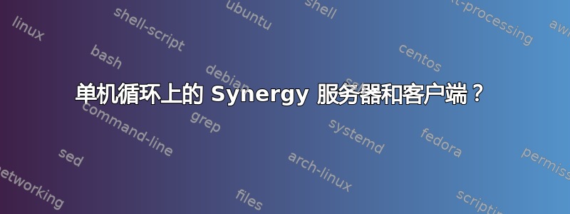 单机循环上的 Synergy 服务器和客户端？