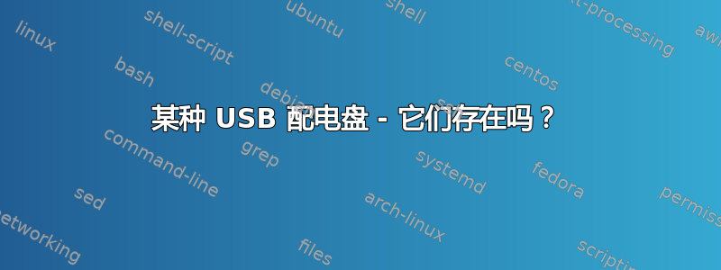 某种 USB 配电盘 - 它们存在吗？