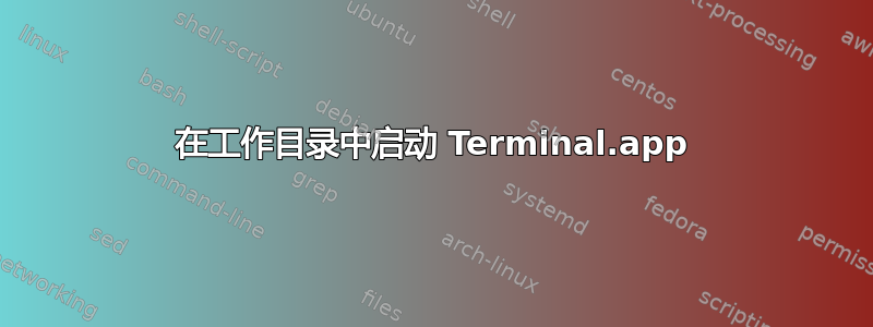 在工作目录中启动 Terminal.app