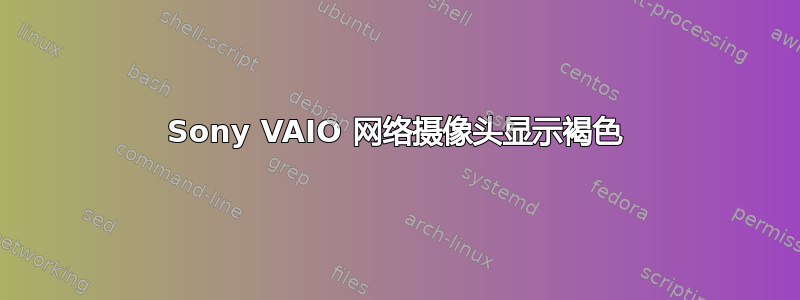 Sony VAIO 网络摄像头显示褐色