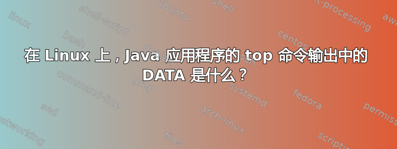 在 Linux 上，Java 应用程序的 top 命令输出中的 DATA 是什么？