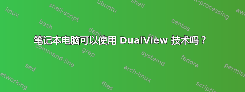 笔记本电脑可以使用 DualView 技术吗？