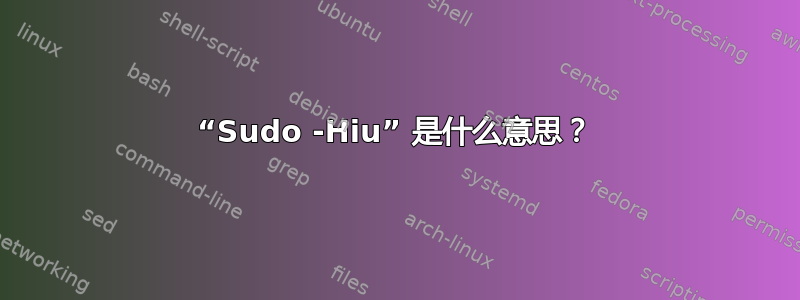 “Sudo -Hiu” 是什么意思？