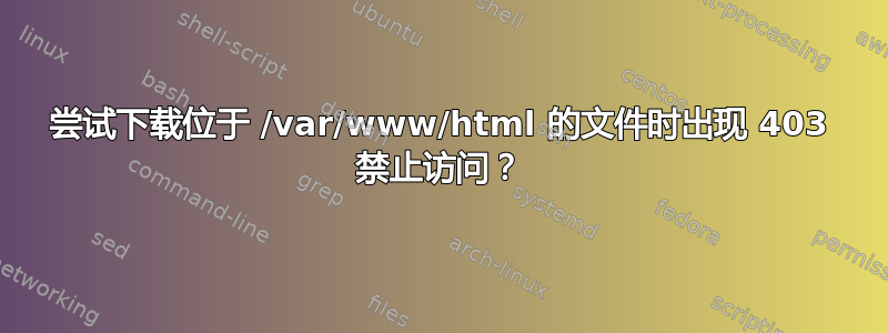 尝试下载位于 /var/www/html 的文件时出现 403 禁止访问？