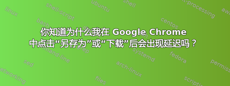 你知道为什么我在 Google Chrome 中点击“另存为”或“下载”后会出现延迟吗？