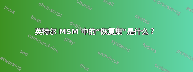 英特尔 MSM 中的“恢复集”是什么？