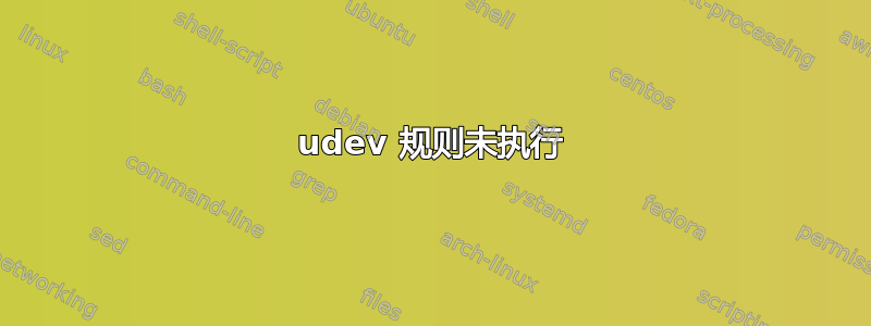 udev 规则未执行