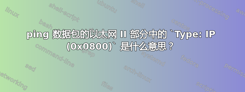 ping 数据包的以太网 II 部分中的 `Type: IP (0x0800)` 是什么意思？