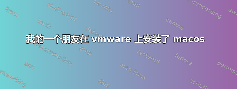 我的一个朋友在 vmware 上安装了 macos 