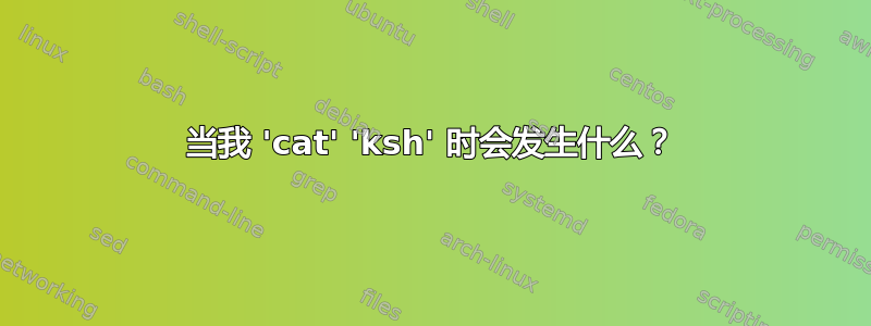 当我 'cat' 'ksh' 时会发生什么？