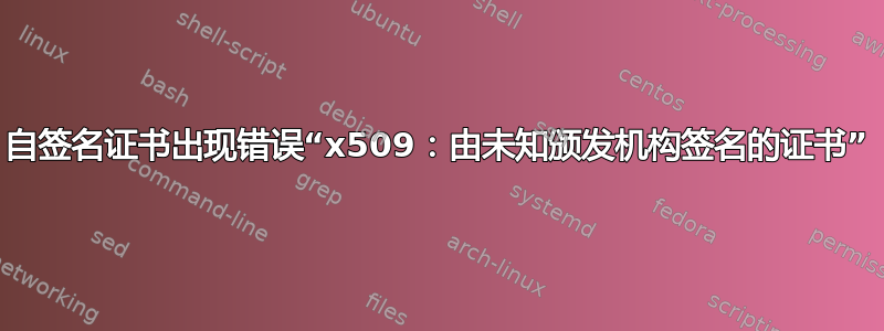 自签名证书出现错误“x509：由未知颁发机构签名的证书”