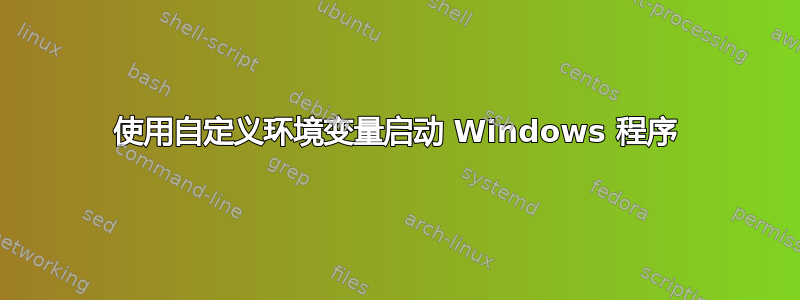 使用自定义环境变量启动 Windows 程序