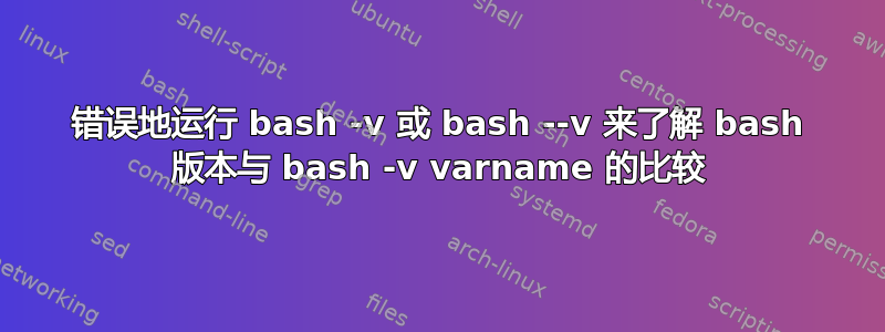 错误地运行 bash -v 或 bash --v 来了解 bash 版本与 bash -v varname 的比较