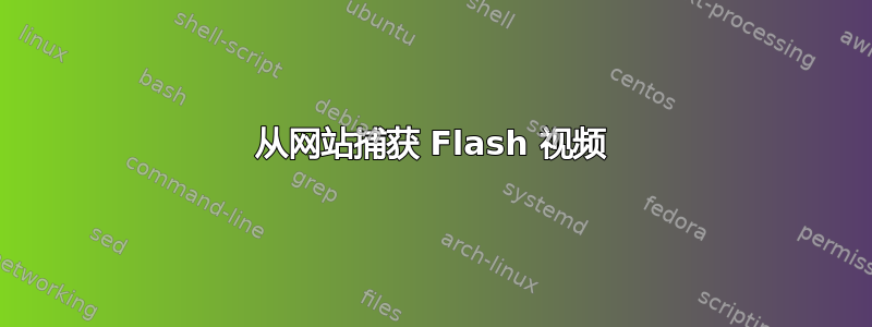 从网站捕获 Flash 视频