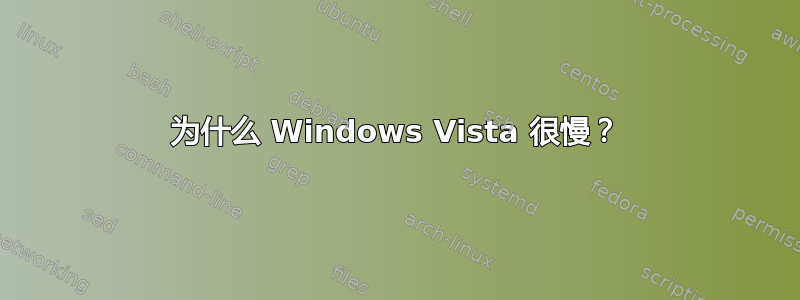 为什么 Windows Vista 很慢？