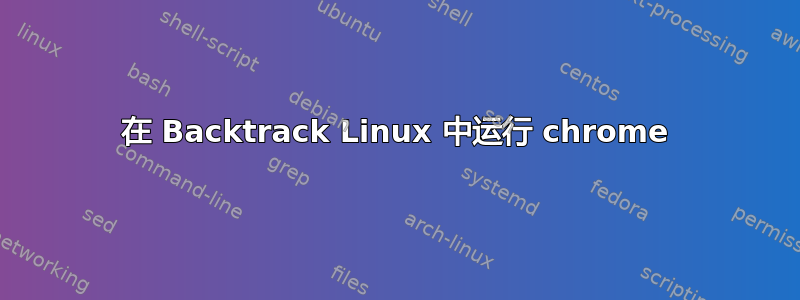 在 Backtrack Linux 中运行 chrome