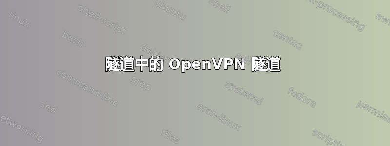 隧道中的 OpenVPN 隧道