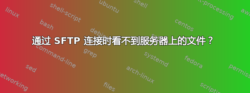 通过 SFTP 连接时看不到服务器上的文件？