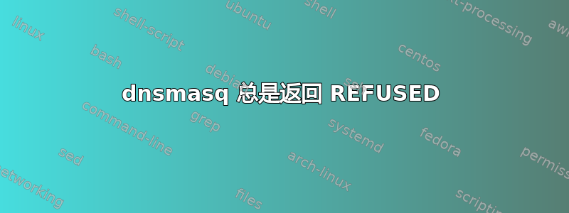 dnsmasq 总是返回 REFUSED