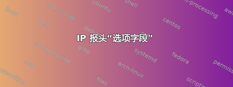 IP 报头“选项字段”