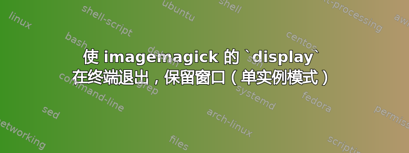 使 imagemagick 的 `display` 在终端退出，保留窗口（单实例模式）