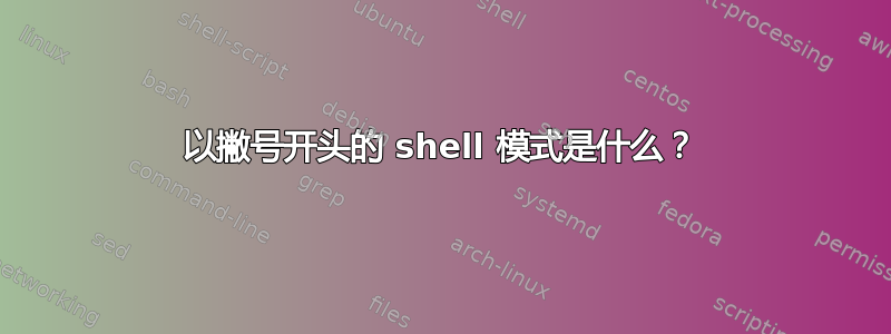 以撇号开头的 shell 模式是什么？