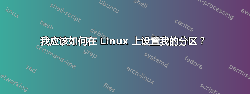 我应该如何在 Linux 上设置我的分区？