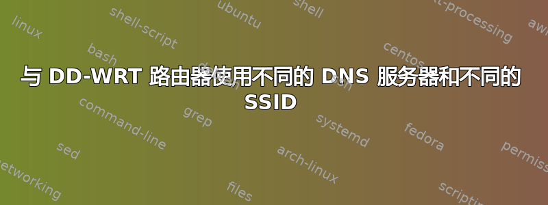 与 DD-WRT 路由器使用不同的 DNS 服务器和不同的 SSID