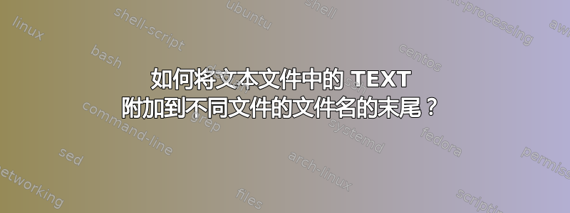 如何将文本文件中的 TEXT 附加到不同文件的文件名的末尾？