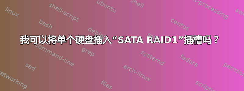 我可以将单个硬盘插入“SATA RAID1”插槽吗？