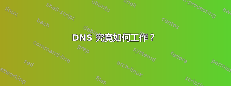 DNS 究竟如何工作？