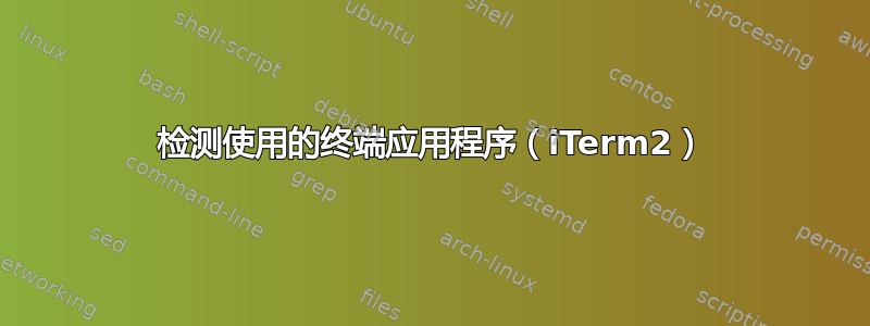 检测使用的终端应用程序（iTerm2）