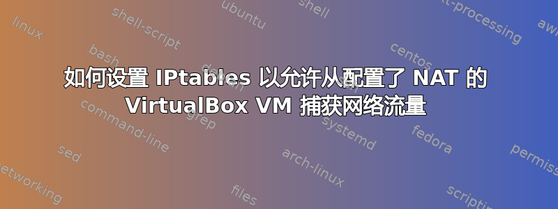 如何设置 IPtables 以允许从配置了 NAT 的 VirtualBox VM 捕获网络流量