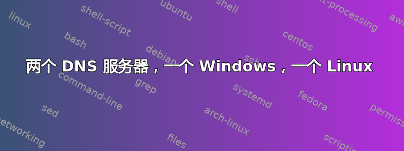 两个 DNS 服务器，一个 Windows，一个 Linux