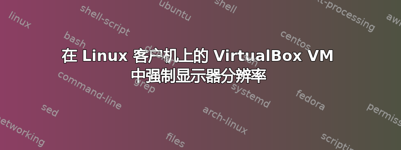 在 Linux 客户机上的 VirtualBox VM 中强制显示器分辨率