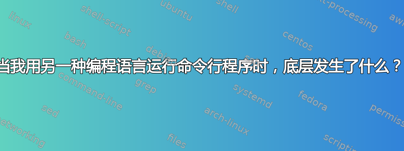 当我用另一种编程语言运行命令行程序时，底层发生了什么？