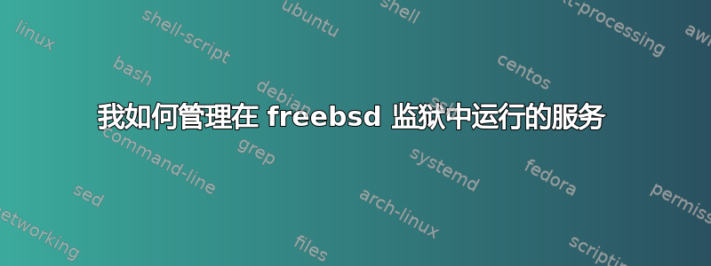 我如何管理在 freebsd 监狱中运行的服务